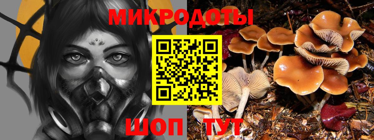 Галлюциногенные грибы ЛСД Среднеуральск