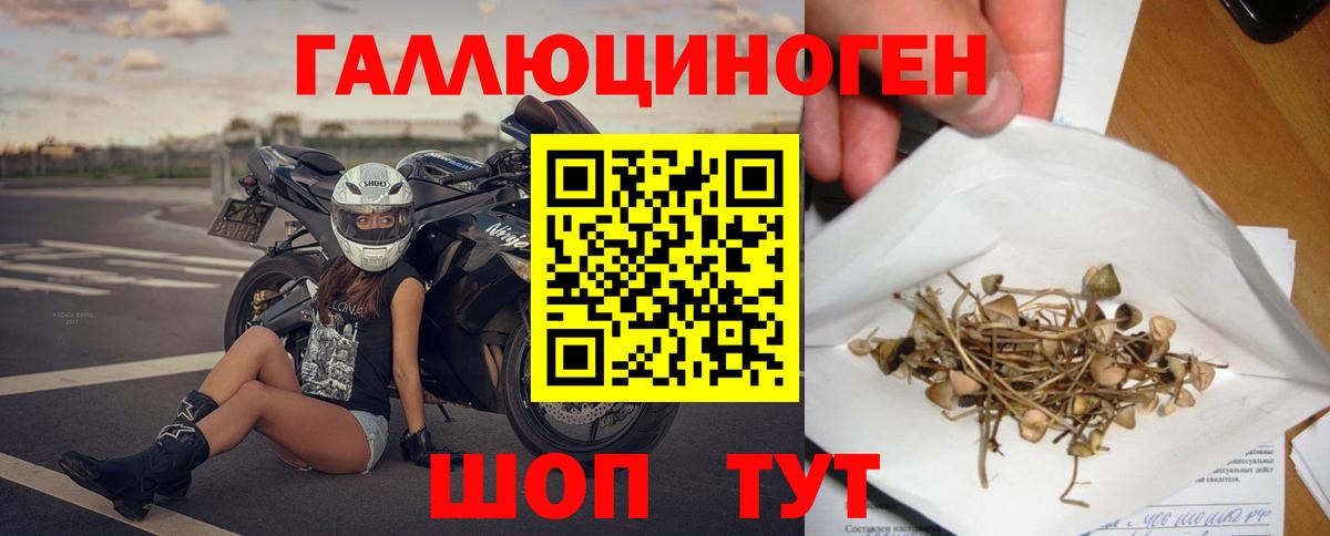 наркошоп  Псилоцибиновые грибы Cubensis  Вход с VPN  Среднеуральск 
